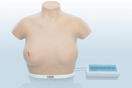 電子乳腺癌觸診、視診訓練模型