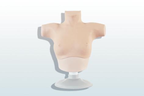 乳腺癌觸診、視診訓練模型
